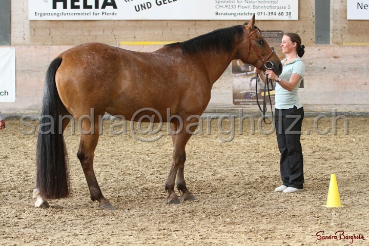 24-ApHC HIH_106.jpg